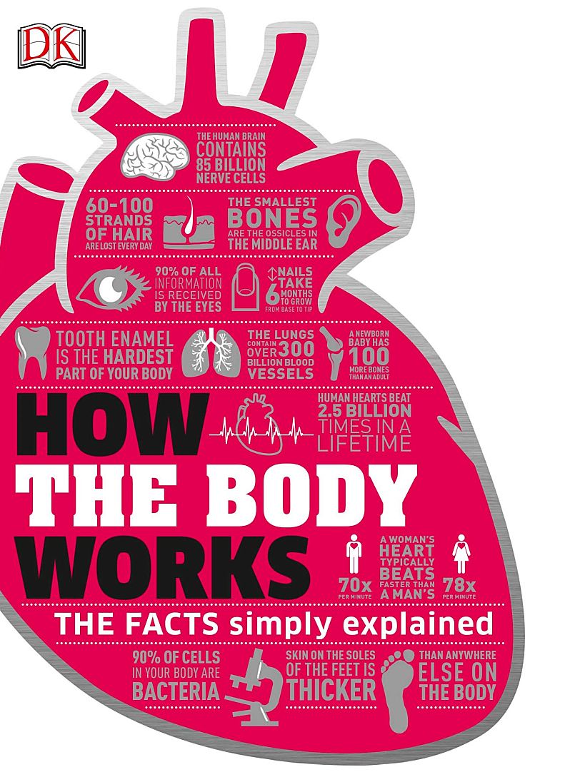 人体运转原理DK How the Body Works