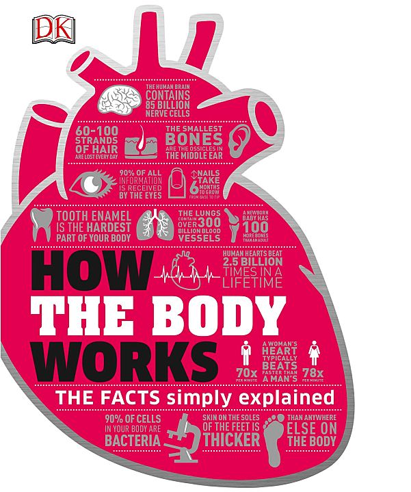 人体运转原理DK How the Body Works
