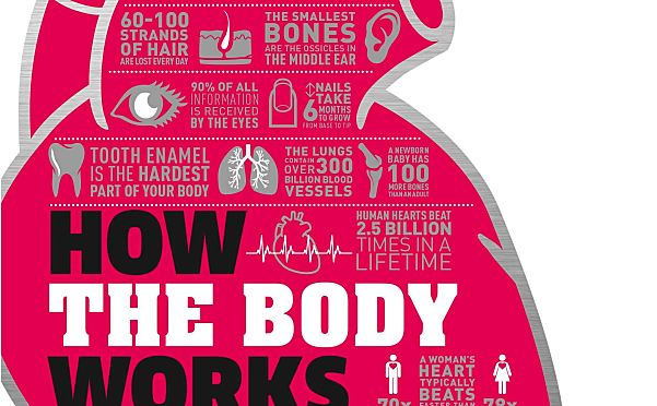 人体运转原理DK How the Body Works