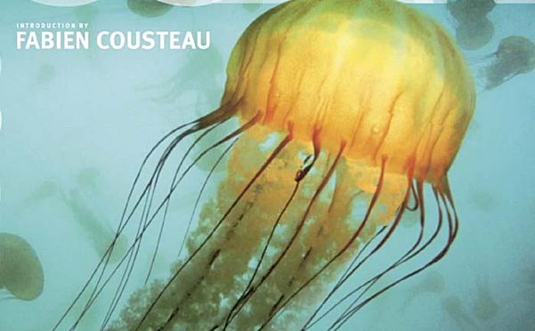 探秘蓝色星球:DK《Ocean: The World’s Last Wilderness Revealed》