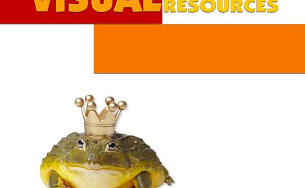 美国加州Treasures可视化小学词汇教材Visual Vocabulary Resource