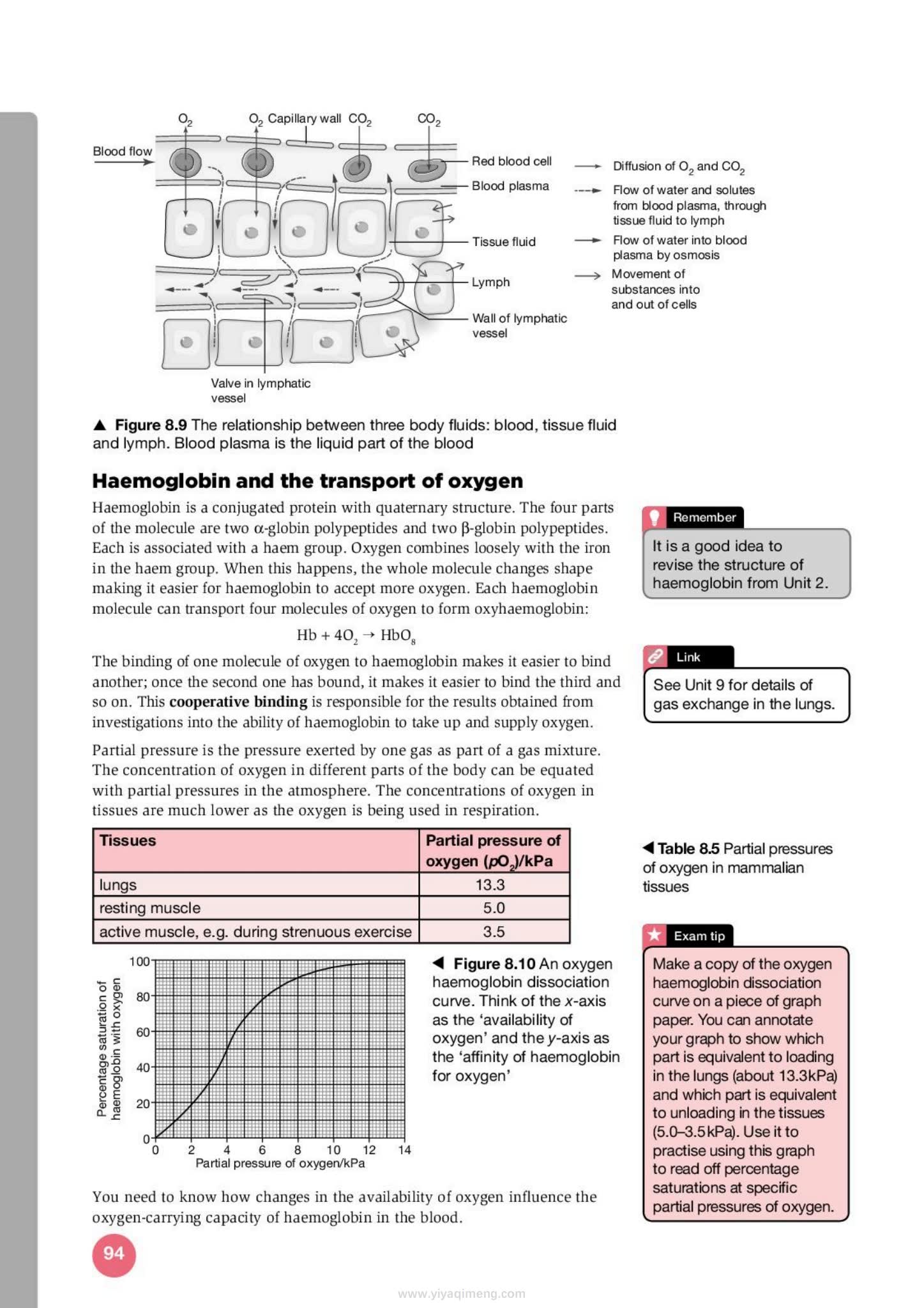 剑桥国际AS与A Level生物学备考指南Exam Success in Cambridge International AS & A Level Biology