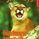 Journeys Decodable Readers 1