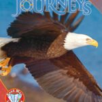 Journeys Write-In Reader