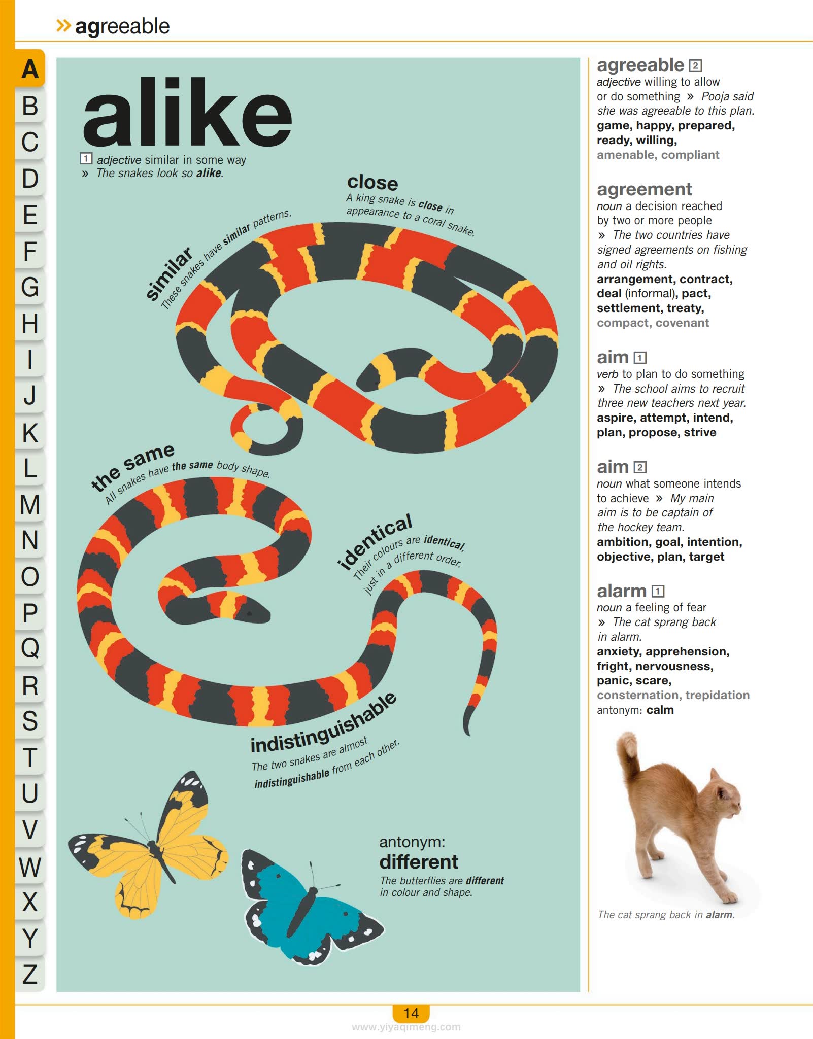 儿童图解同义词词典DK Children’s Illustrated Thesaurus