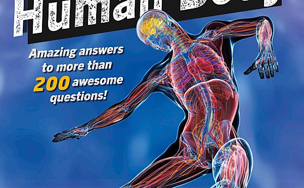 DK儿童人体探索百科Did You Know – Human Body