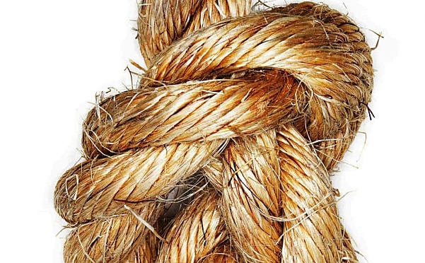 DK Knots Step by Step 动手也动脑的绳结艺术百科