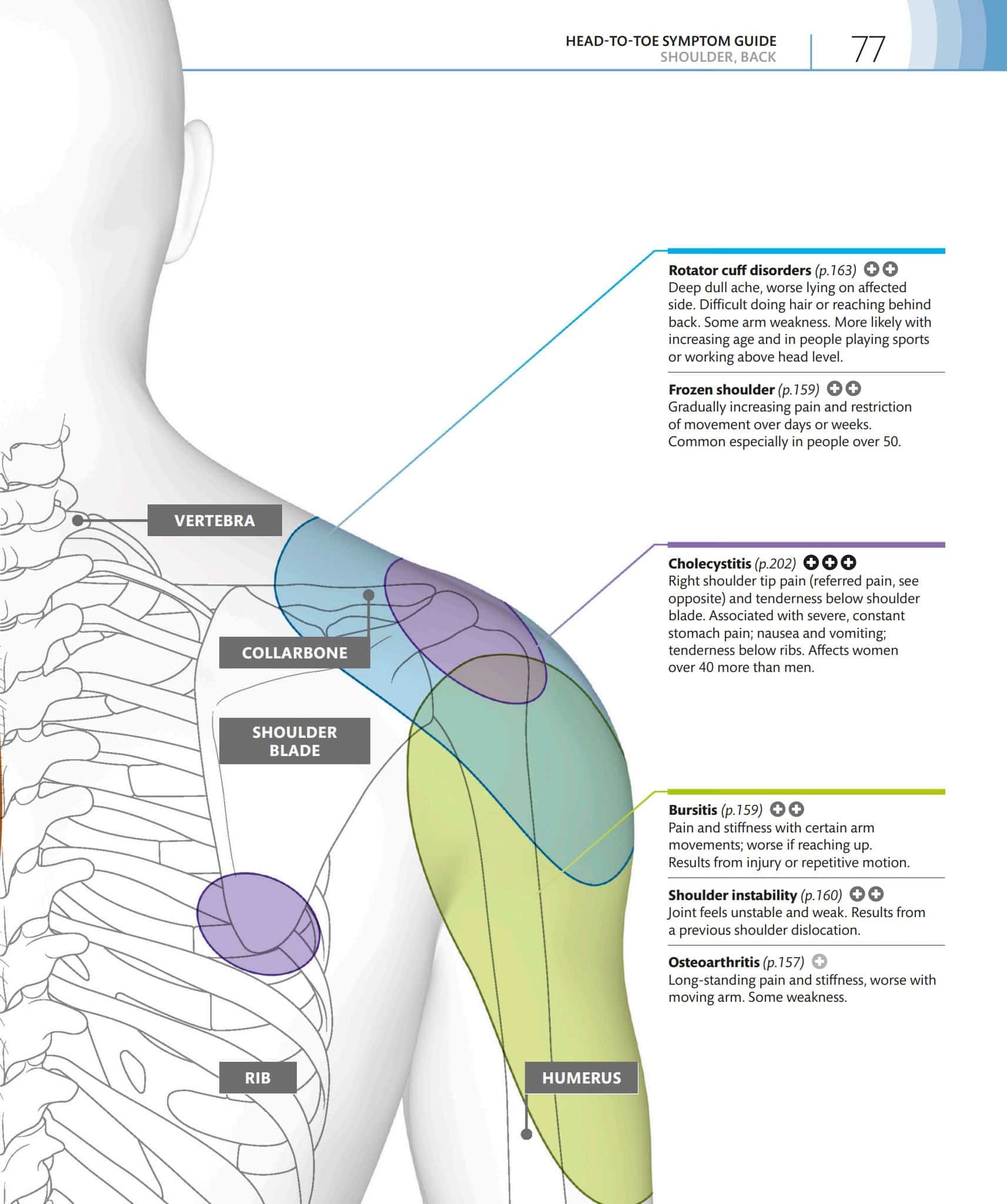 DK医学症状视觉指南Medical Symptoms Visual Guide