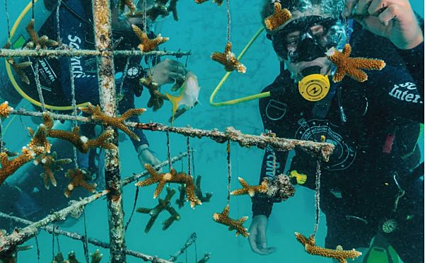 国家地理Outcomes教材第三版