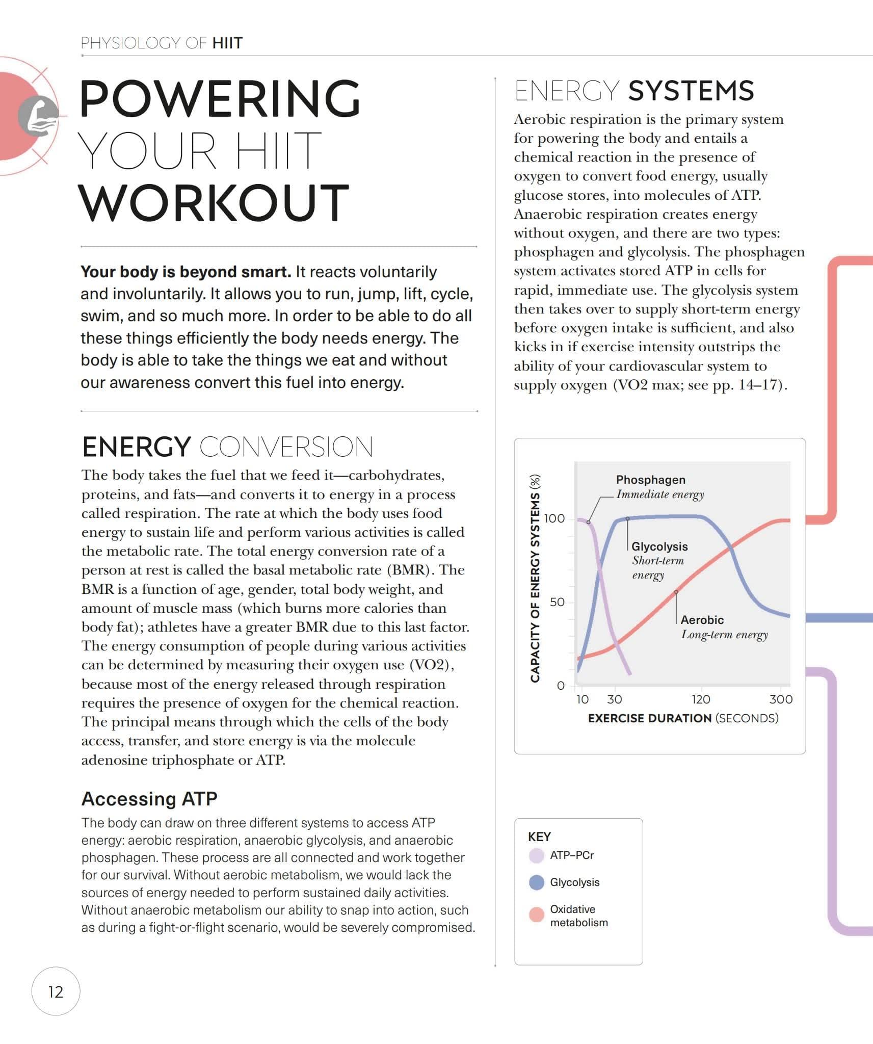 DK Science of HIIT解密高强度间歇训练的生理密码