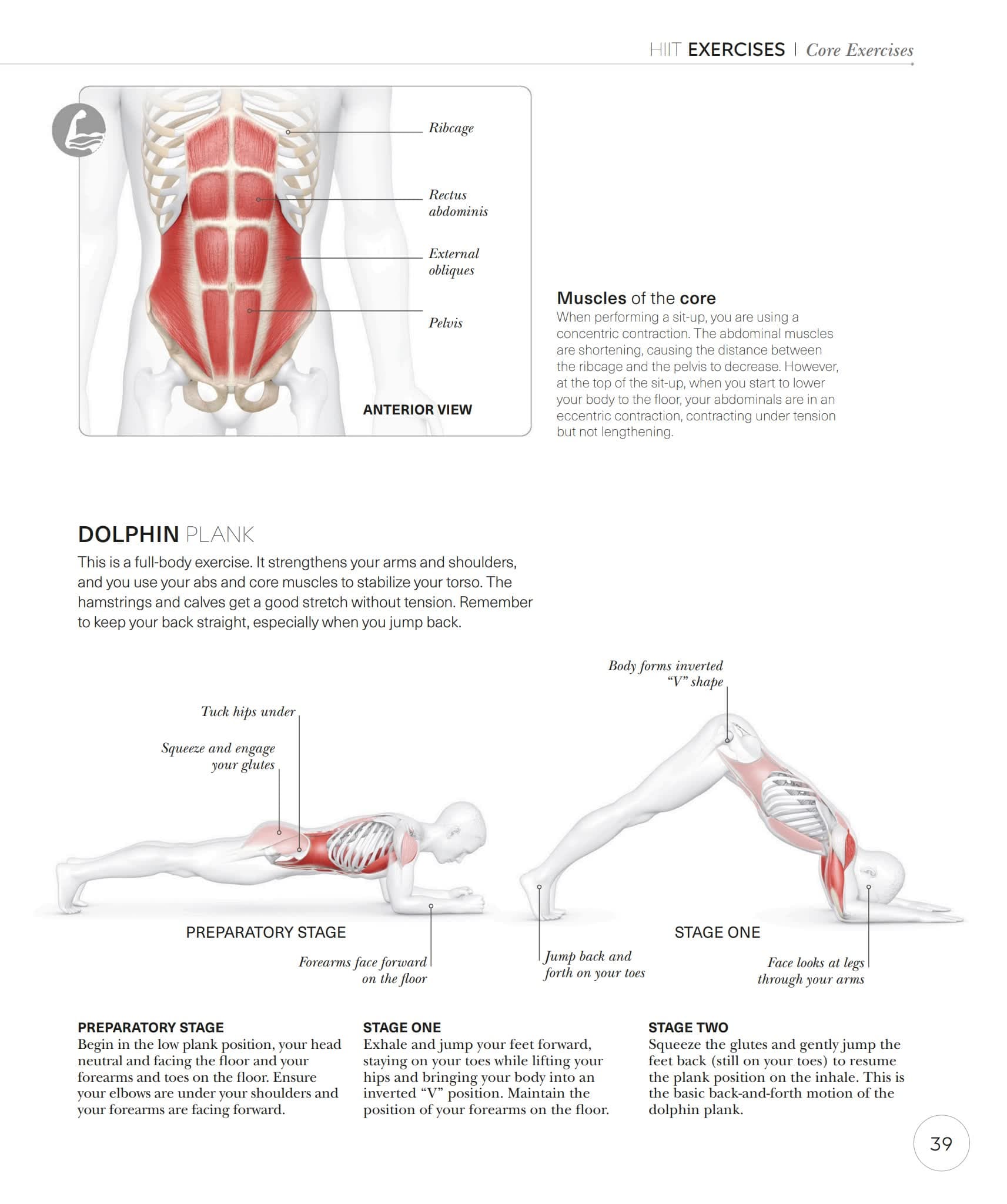 DK Science of HIIT解密高强度间歇训练的生理密码