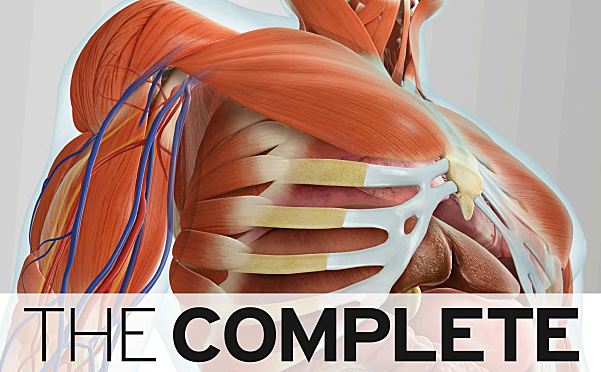 人体探索百科DK The Complete Human Body: The Definitive Visual Guide
