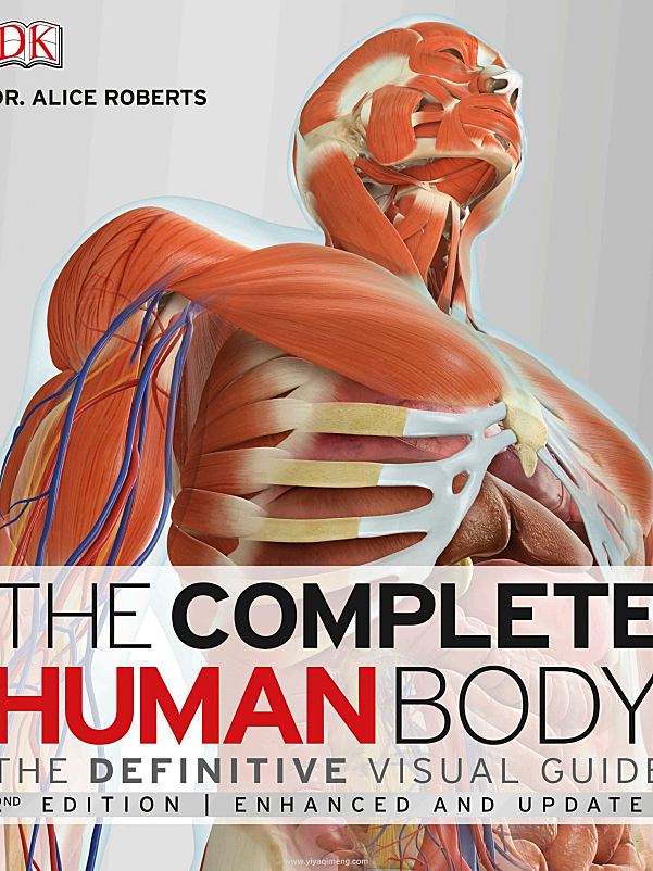 人体探索百科DK The Complete Human Body: The Definitive Visual Guide