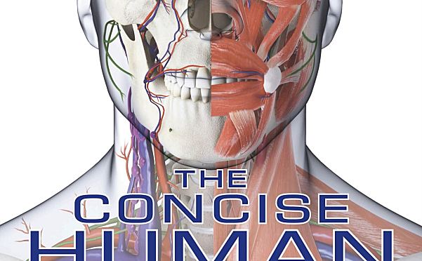 人体结构与功能图解指南DK The Human Body Book