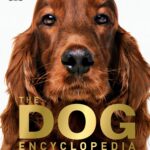 The Dog Encyclopedia
