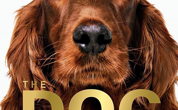 犬类百科全书DK The Dog Encyclopedia The Definitive Visual Guide