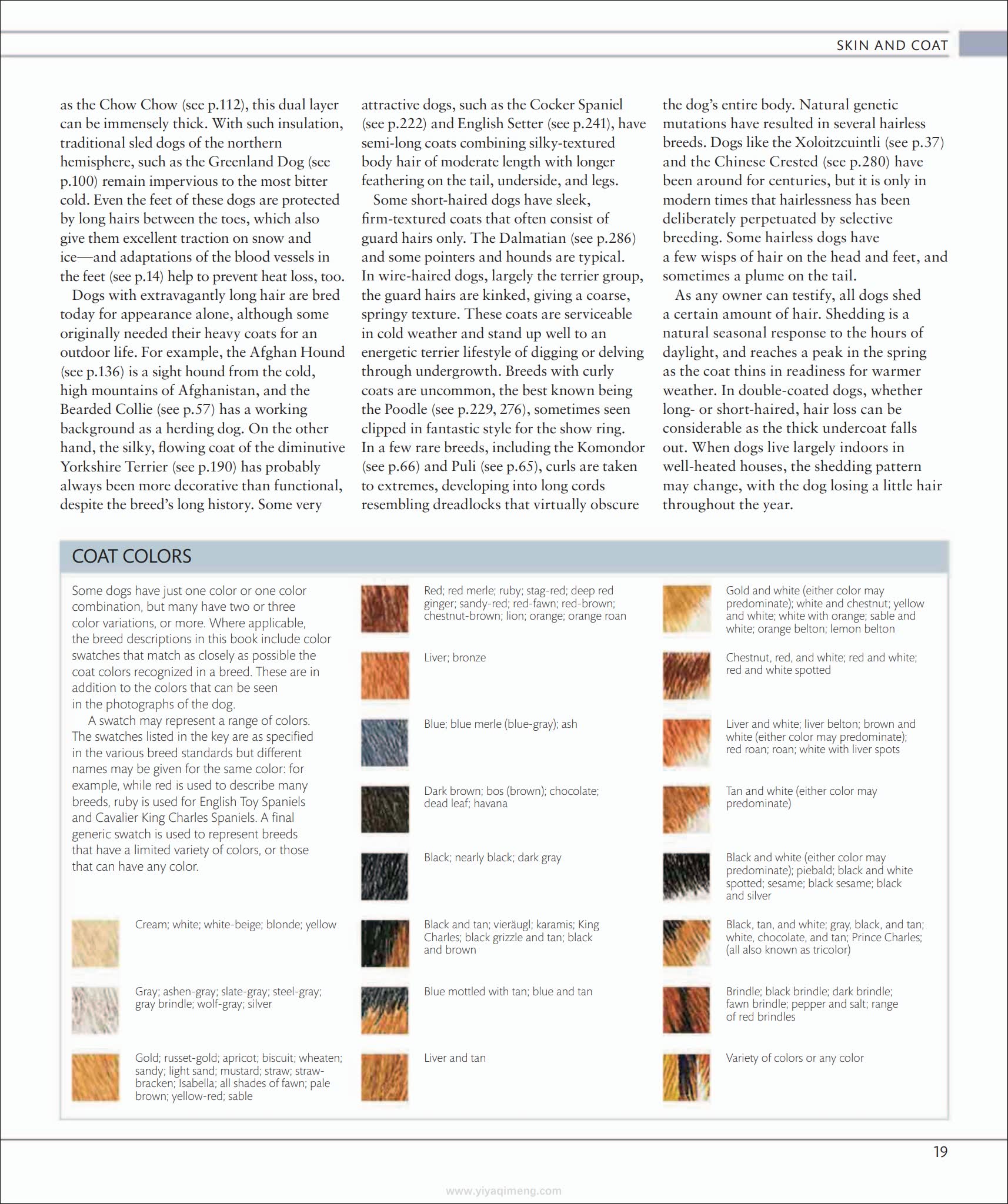 犬类百科全书DK The Dog Encyclopedia The Definitive Visual Guide