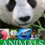 Animals Around the World