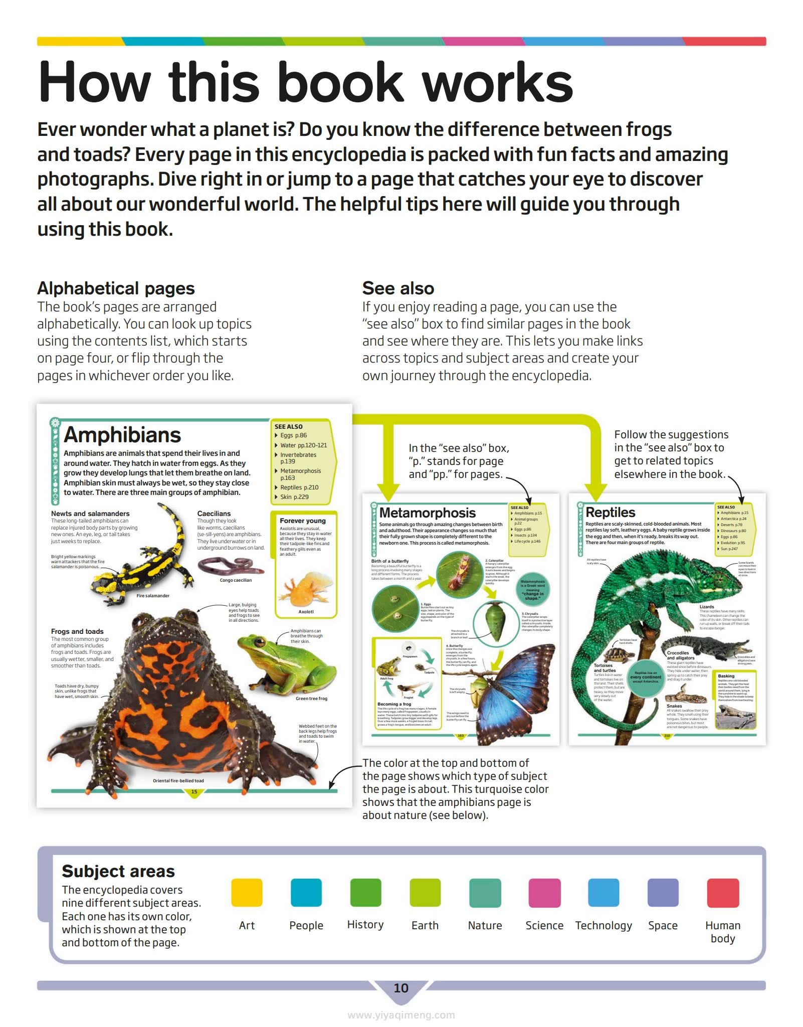 DK儿童百科全书DK Children's Encyclopedia: The Book That Explains Everything