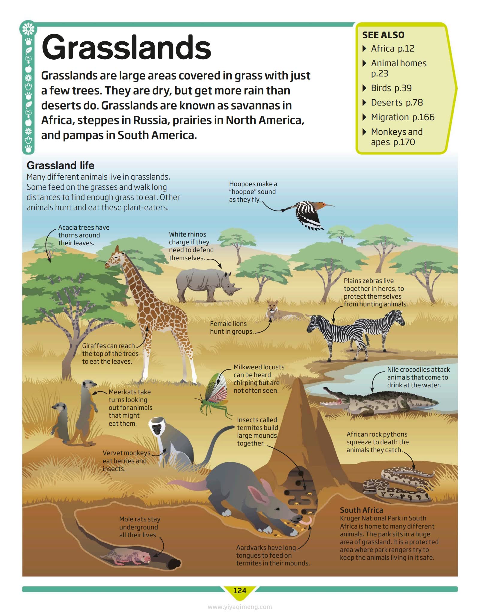 DK儿童百科全书DK Children's Encyclopedia: The Book That Explains Everything