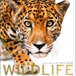 Wildlife of the World