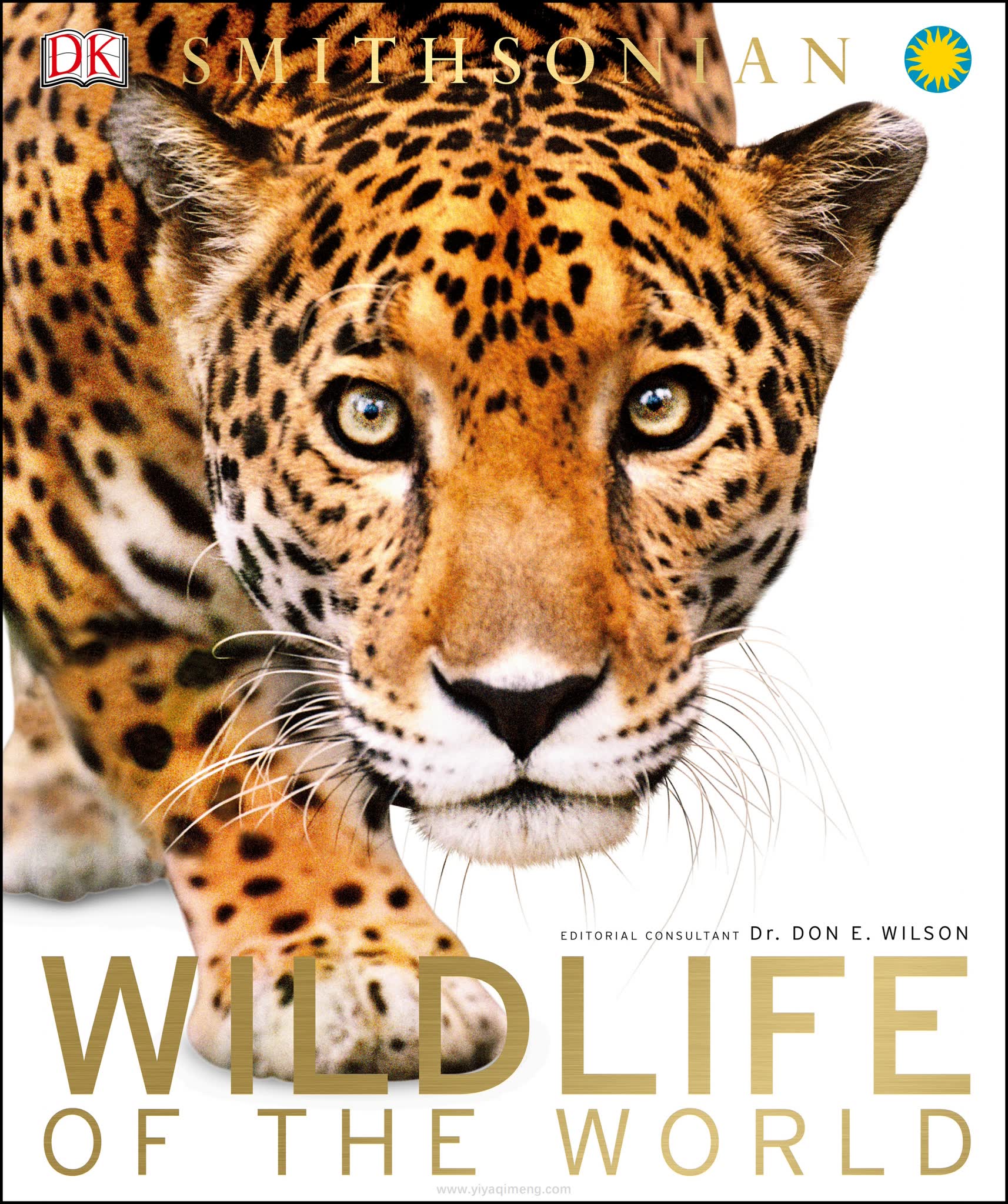 Dk《Wildlife of the World》地图式的“动物星球”