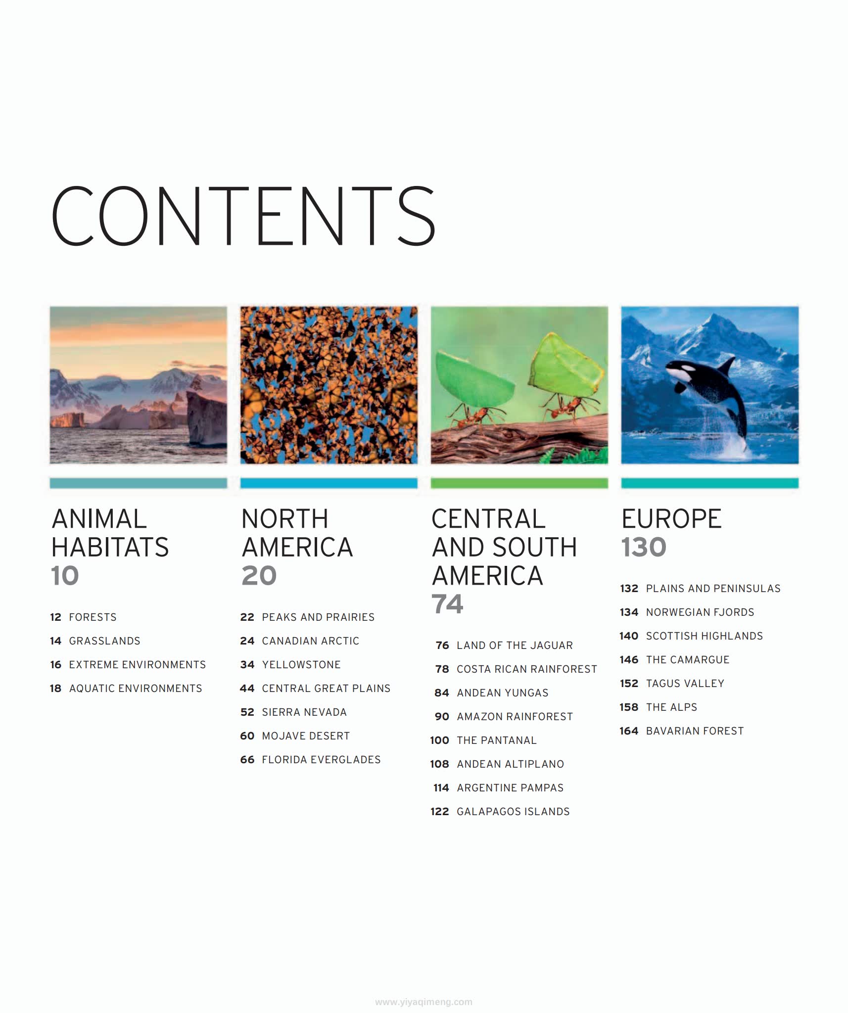 Dk《Wildlife of the World》地图式的“动物星球”