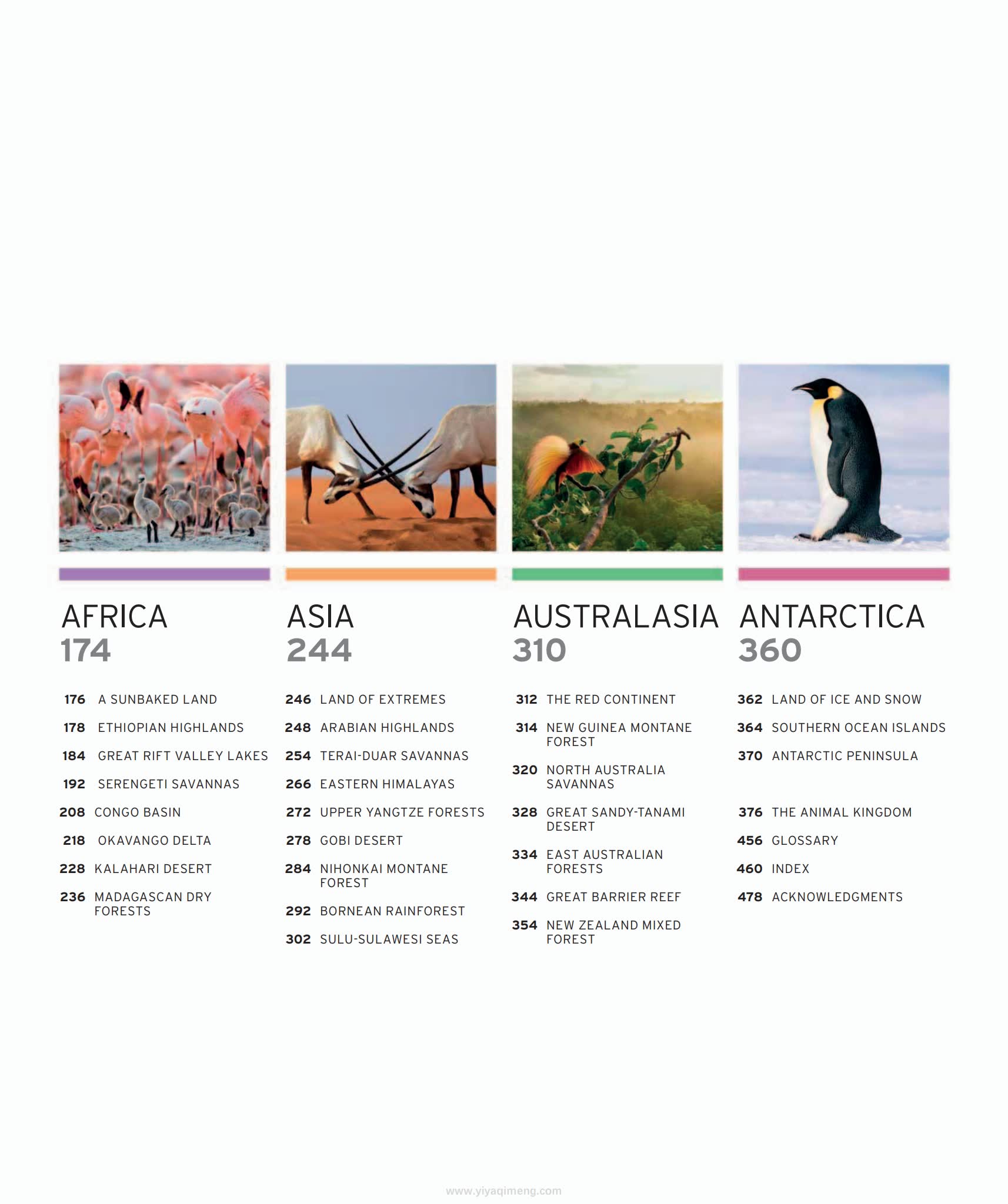 Dk《Wildlife of the World》地图式的“动物星球”