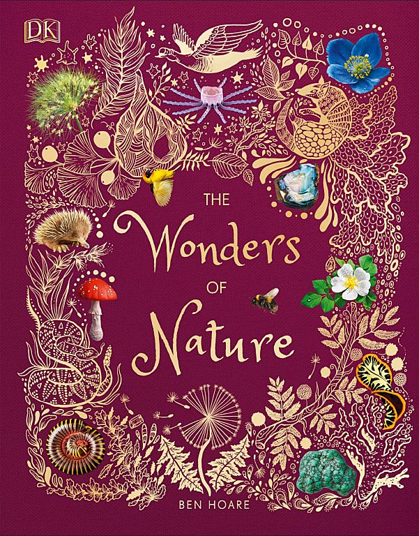 令人惊叹的自然之书《DK The Wonders of Nature》