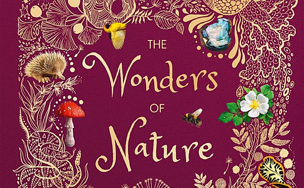 令人惊叹的自然之书《DK The Wonders of Nature》