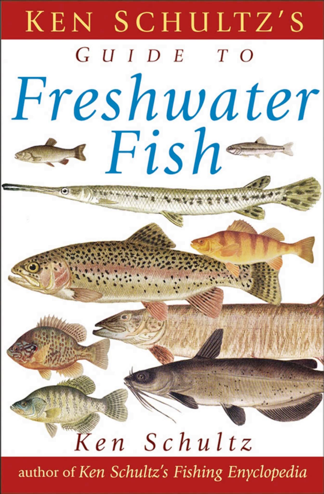 Saltwater Fish