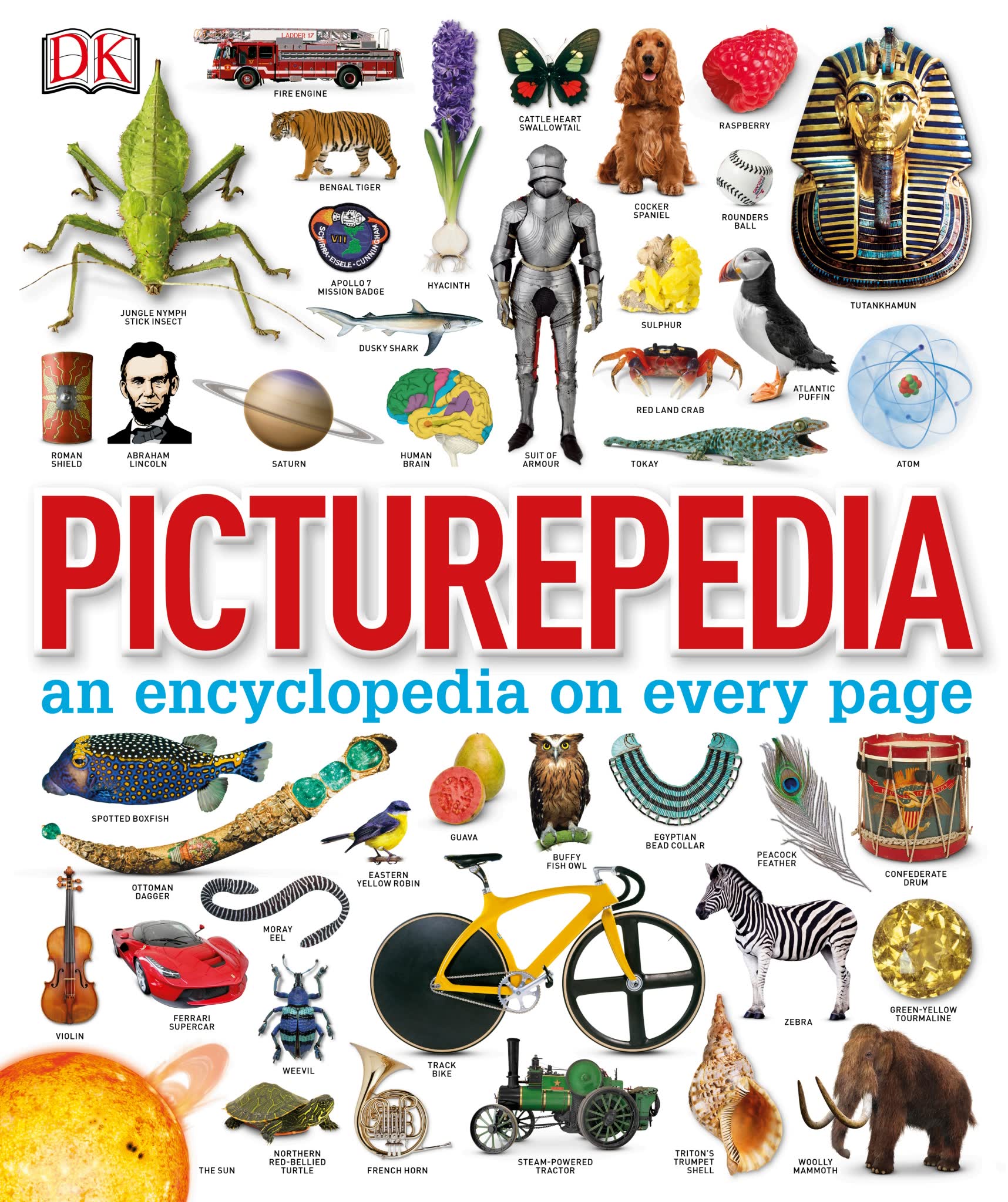 DK 出品《Picturepedia》全图解百科
