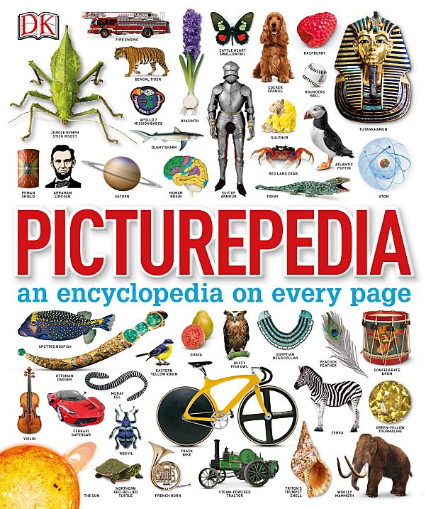 DK 出品《Picturepedia》全图解百科