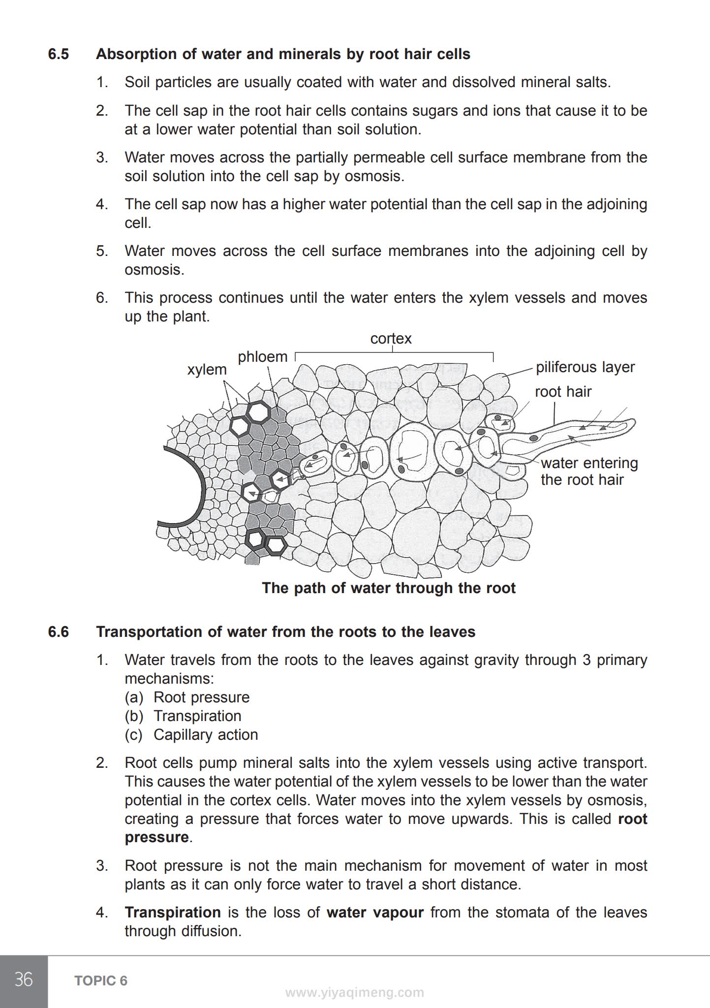 Topical Revision Notes Biology O Level 新加坡生物复习书