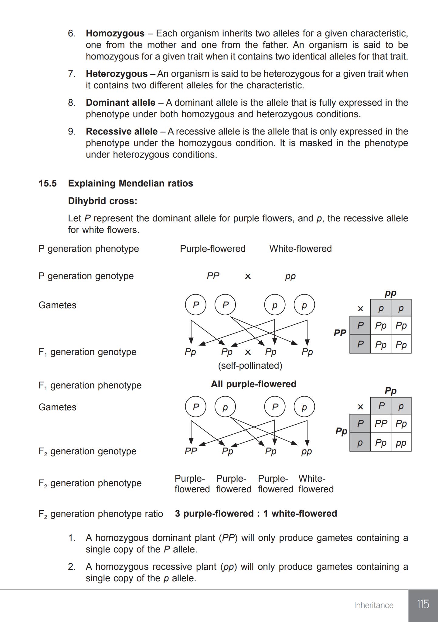 Topical Revision Notes Biology O Level 新加坡生物复习书