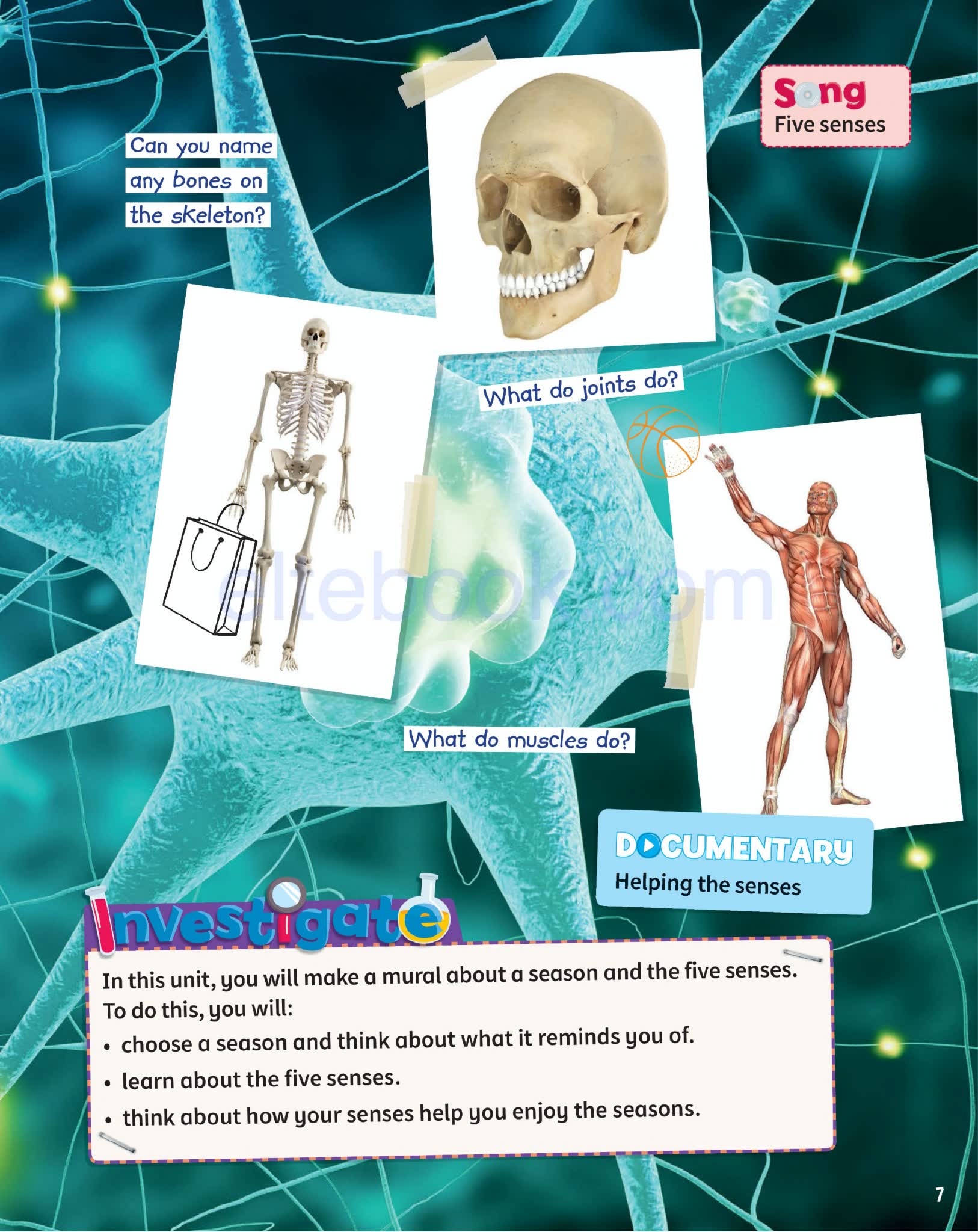 Cambridge Science Skills 剑桥“科学+英语”跨学科教材