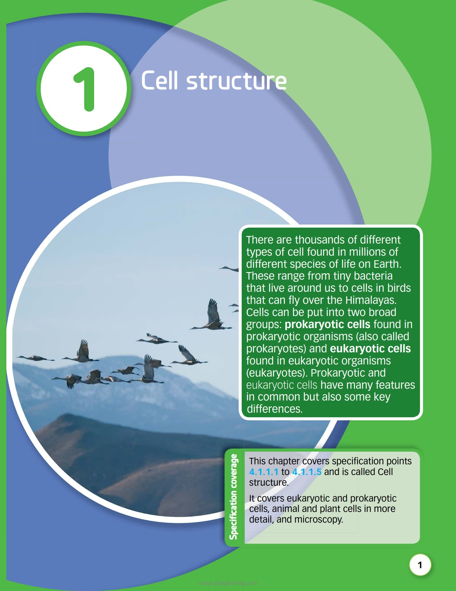 HODDER AQA GCSE Combined Science Trilogy英式科学学习教材