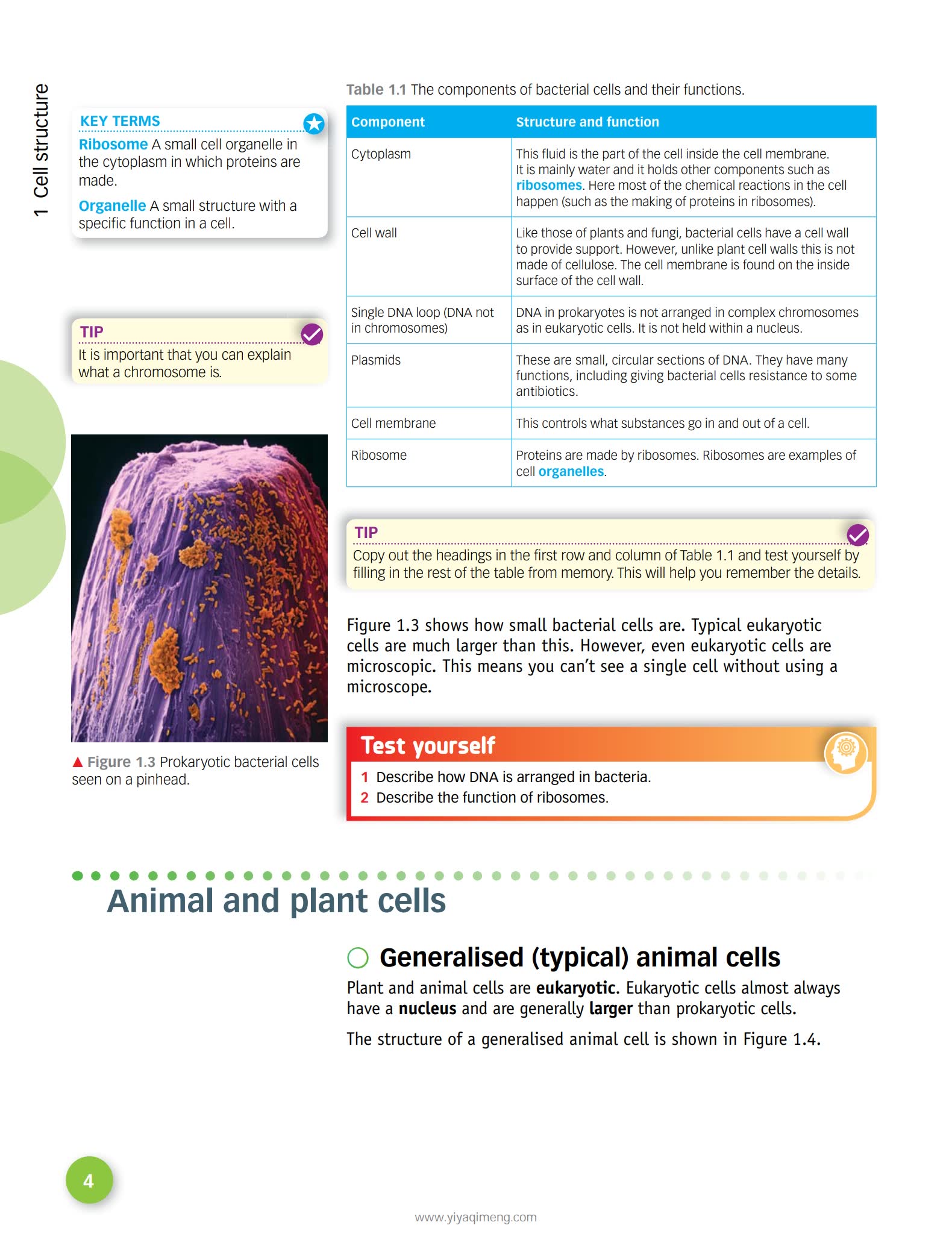 HODDER AQA GCSE Combined Science Trilogy英式科学学习教材