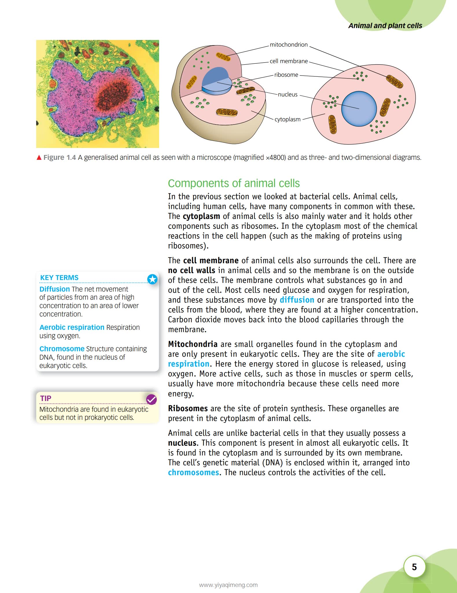 HODDER AQA GCSE Combined Science Trilogy英式科学学习教材
