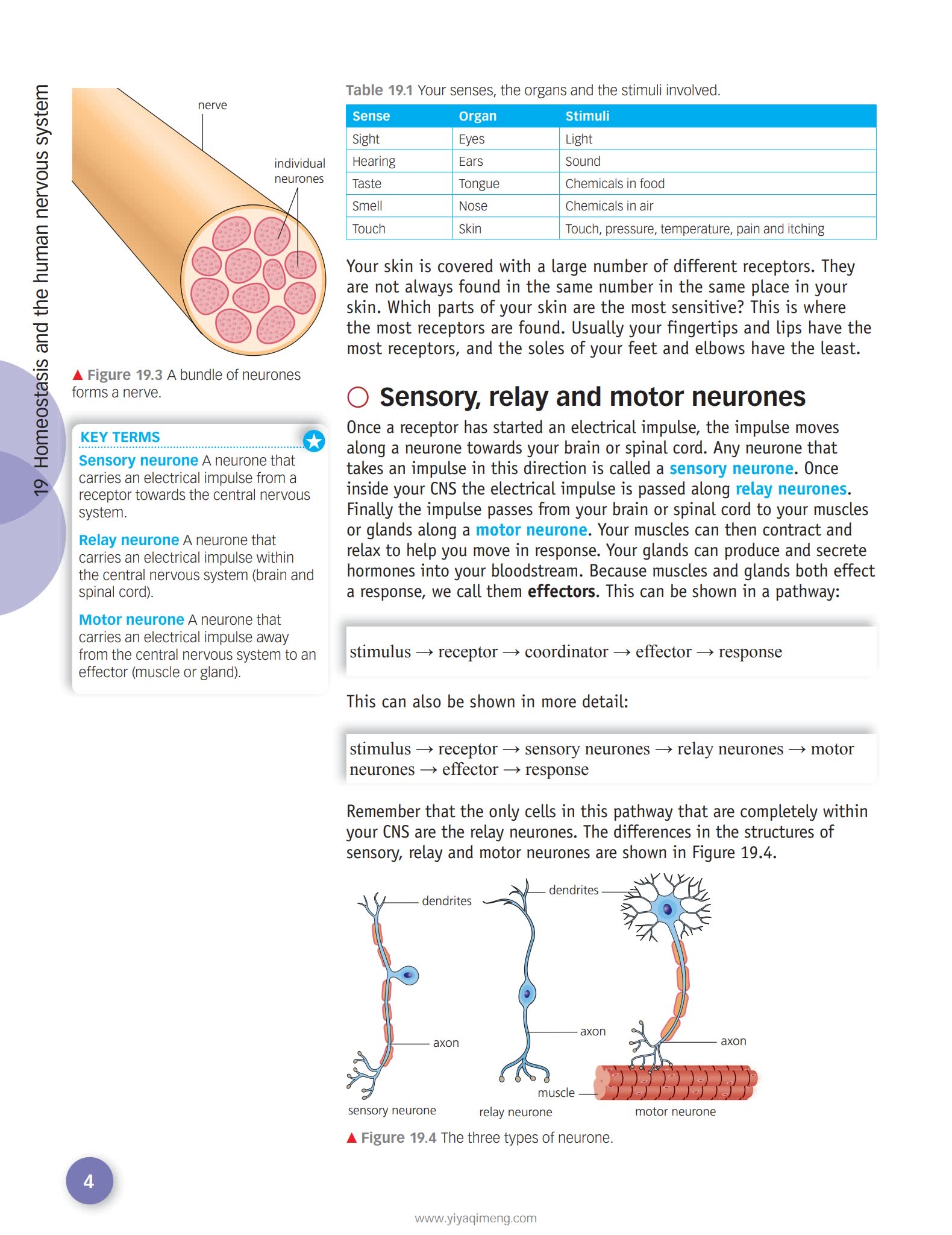 HODDER AQA GCSE Combined Science Trilogy英式科学学习教材