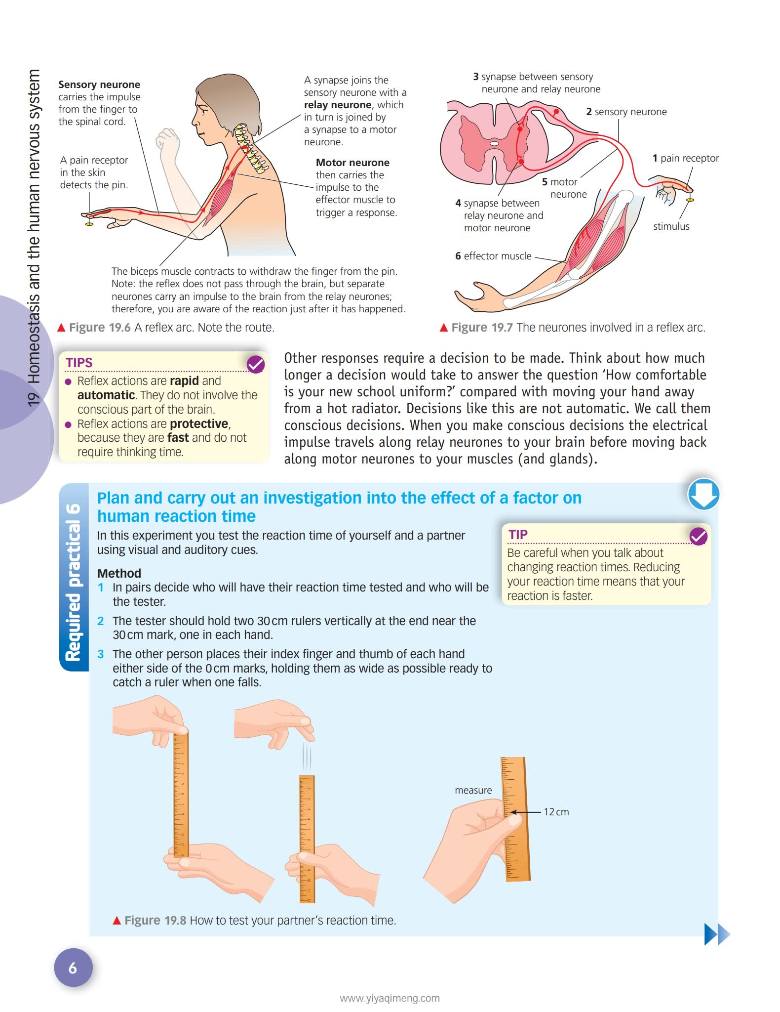 HODDER AQA GCSE Combined Science Trilogy英式科学学习教材