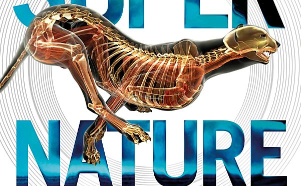 Super Nature Encyclopedia (DK × Smithsonian)看见地球生命奇迹的视觉百科