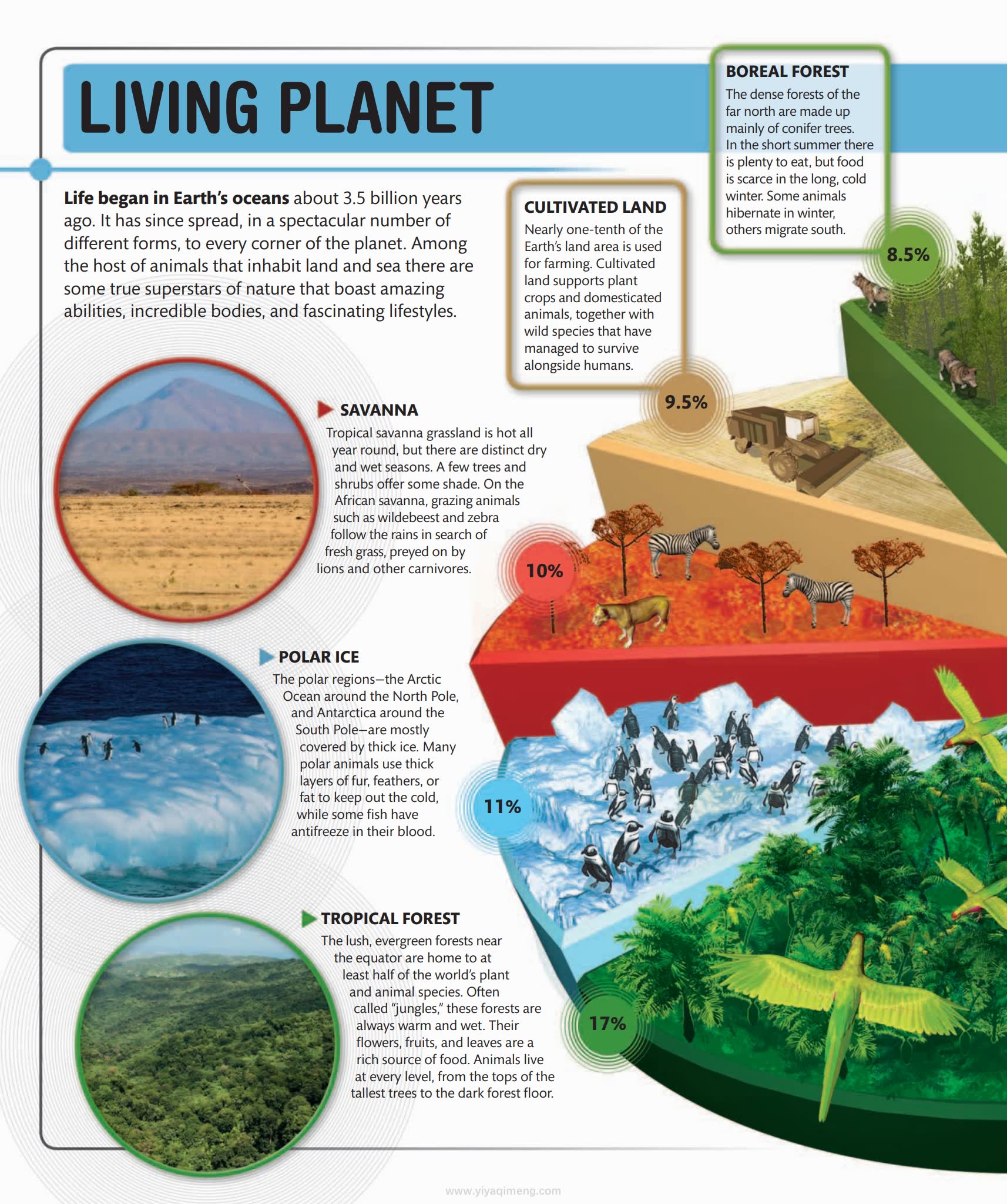 Super Nature Encyclopedia (DK × Smithsonian)看见地球生命奇迹的视觉百科
