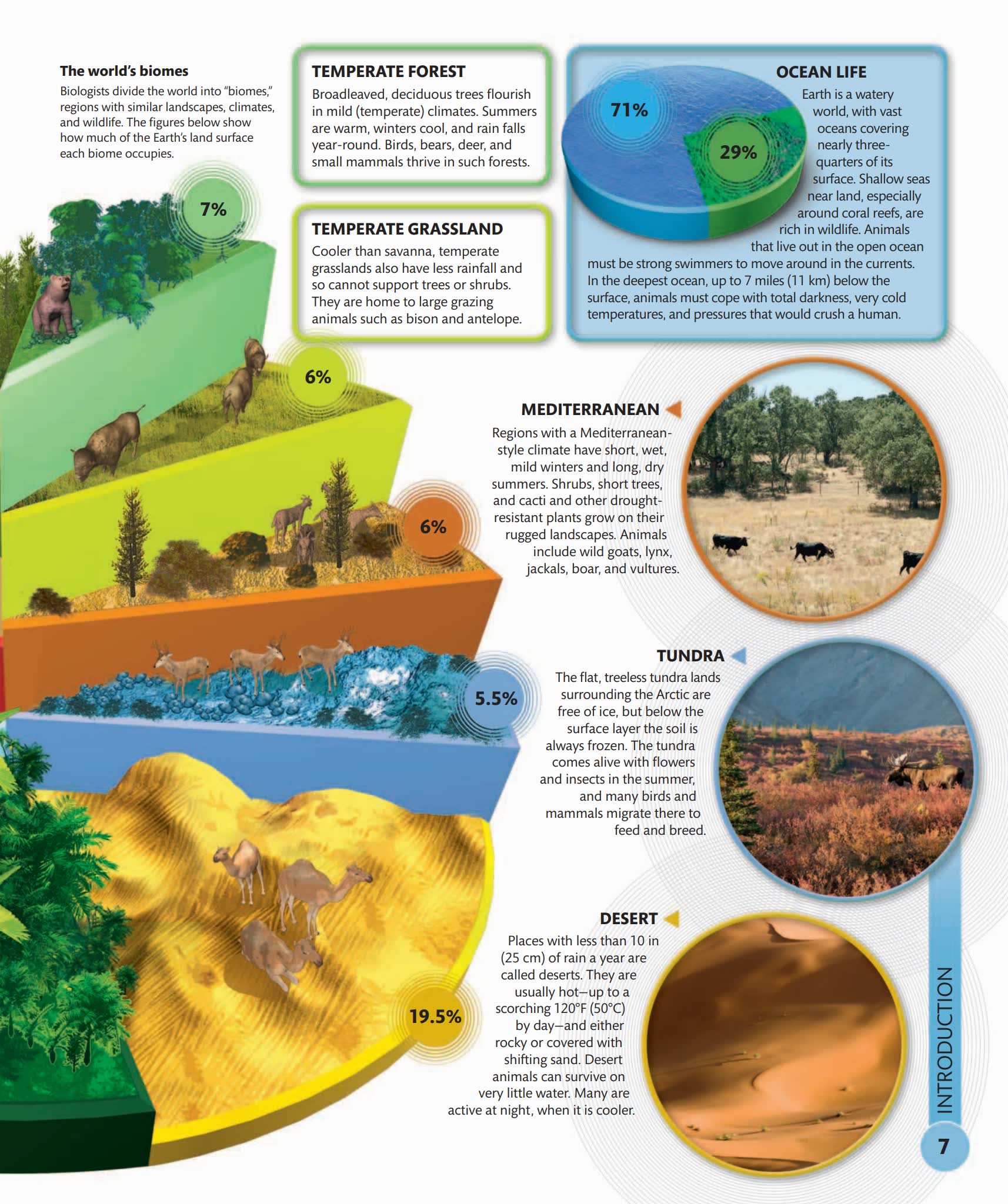 Super Nature Encyclopedia (DK × Smithsonian)看见地球生命奇迹的视觉百科