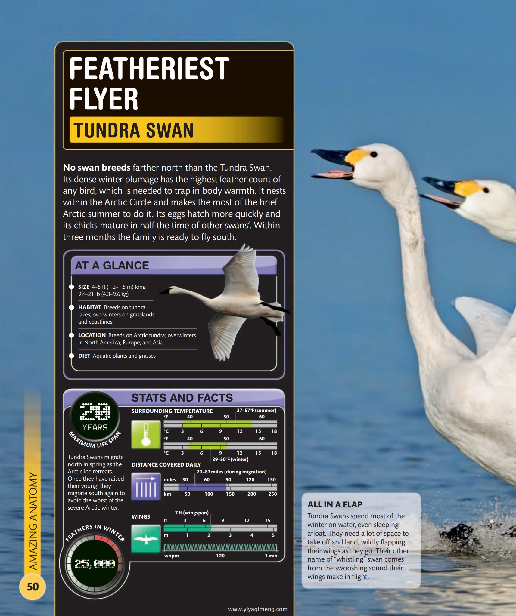 Super Nature Encyclopedia (DK × Smithsonian)看见地球生命奇迹的视觉百科