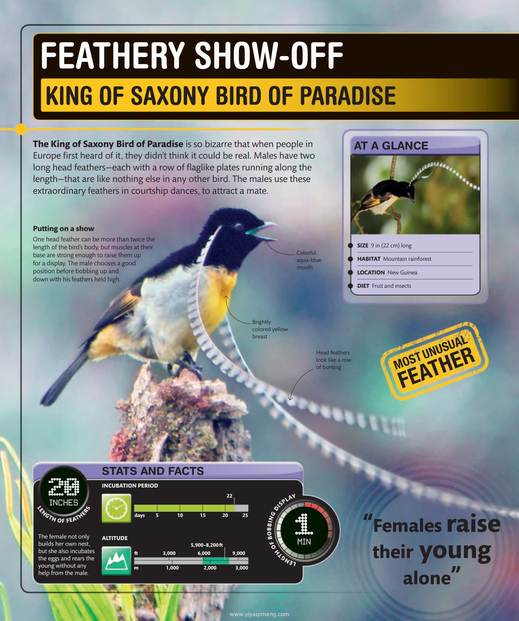 Super Nature Encyclopedia (DK × Smithsonian)看见地球生命奇迹的视觉百科