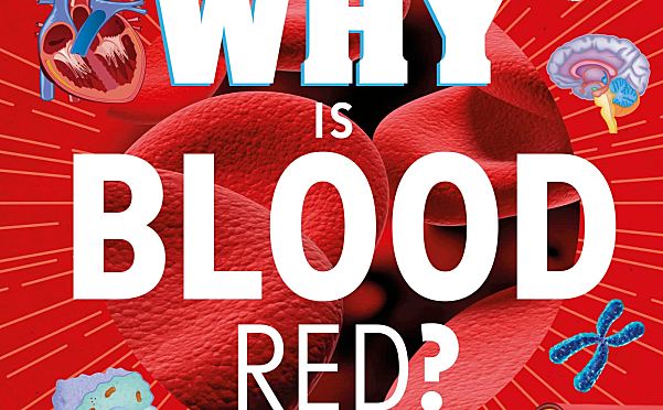 DK《Why Is Blood Red?》让孩子在好奇中爱上科学