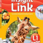 Insight Link