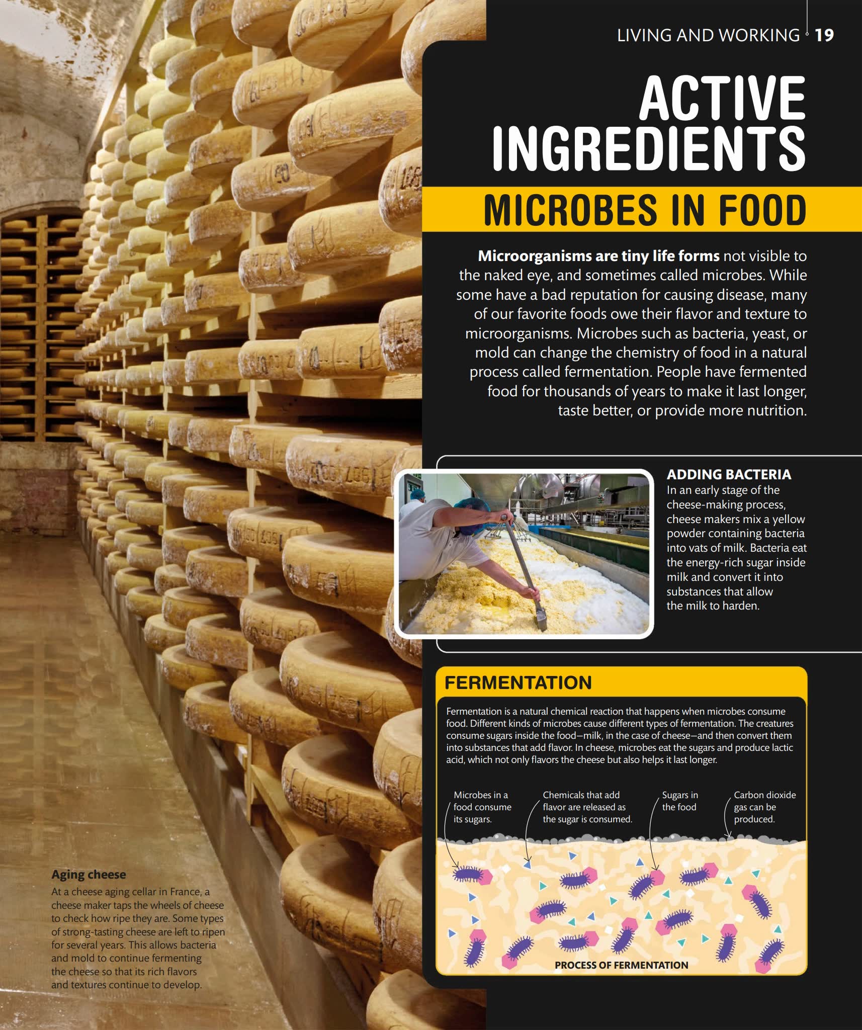 DK Super Science Encyclopedia 超级科学百科全书