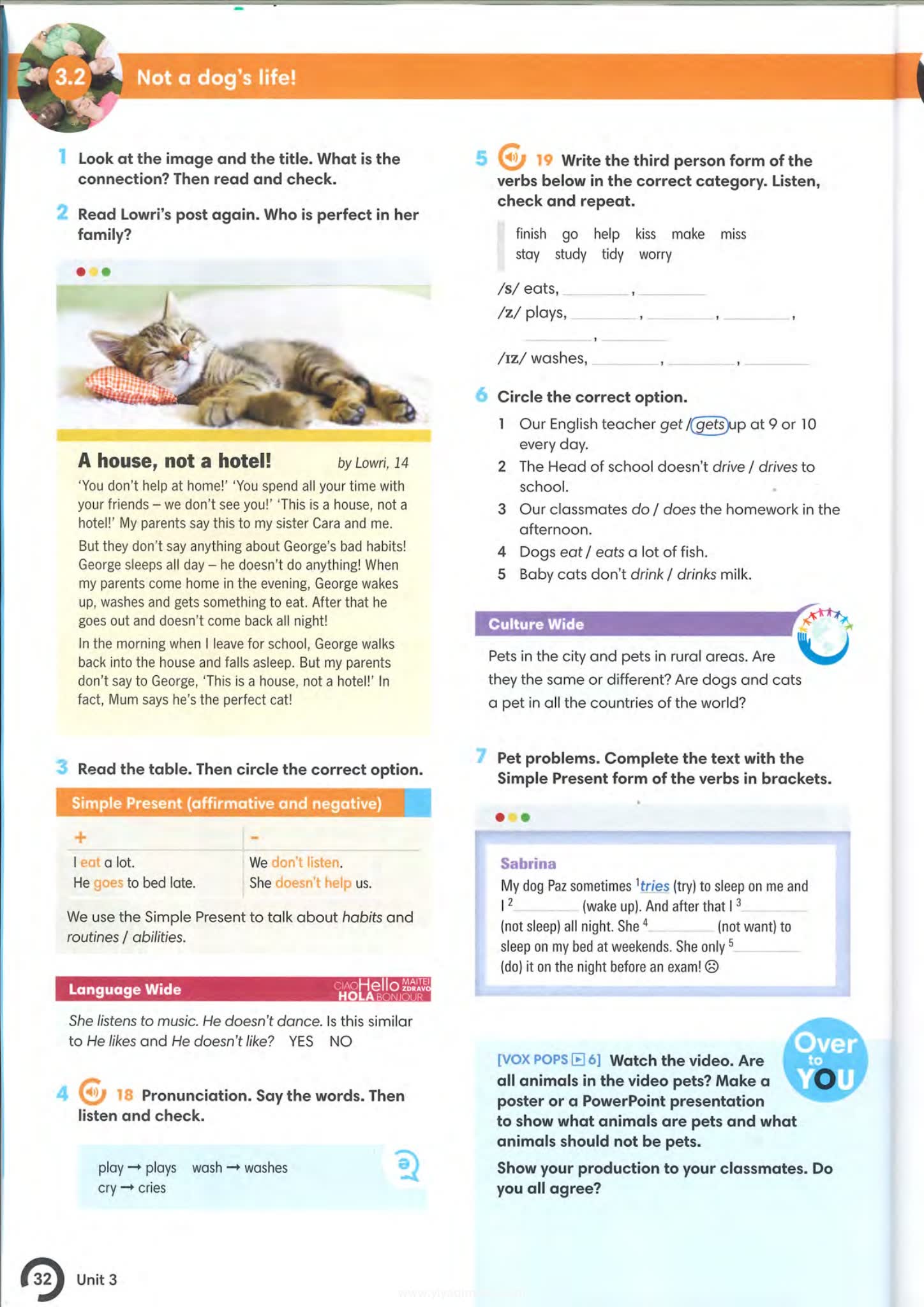 Pearson Look Wide 培生拉丁美洲初中英语教材